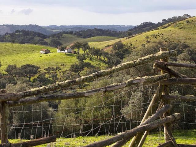 Monte Da Gravita Ribeira do Salto Ngoại thất bức ảnh
